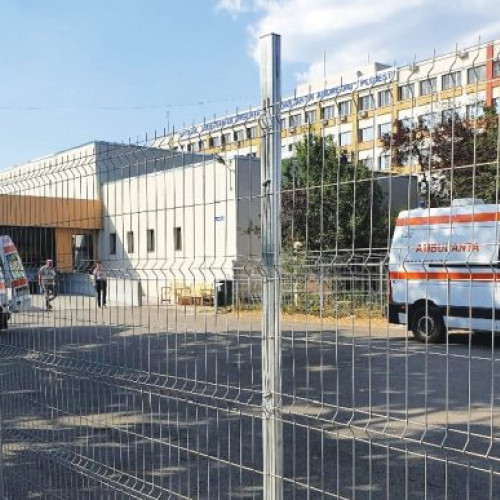 Animalele de companie aduc beneficii remarcabile pentru sănătate