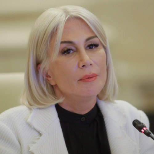 Raluca Turcan: Nicolae Ciucă - o carte câştigătoare pentru PNL şi România