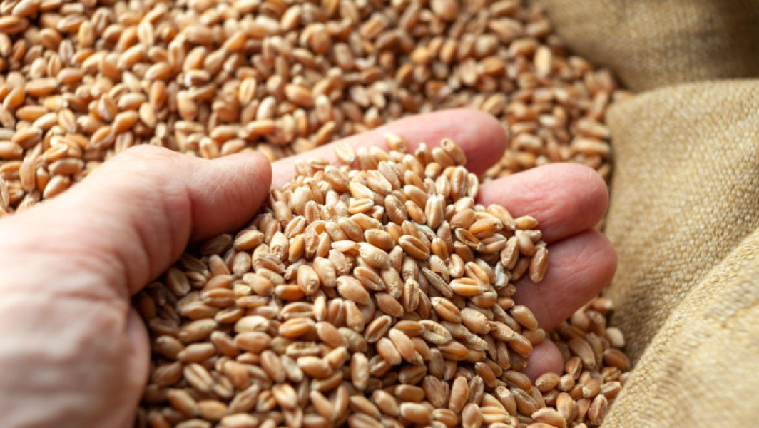 Statele Uniunii Europene impun taxe vamale pentru produsele agricole din Rusia și Belarus