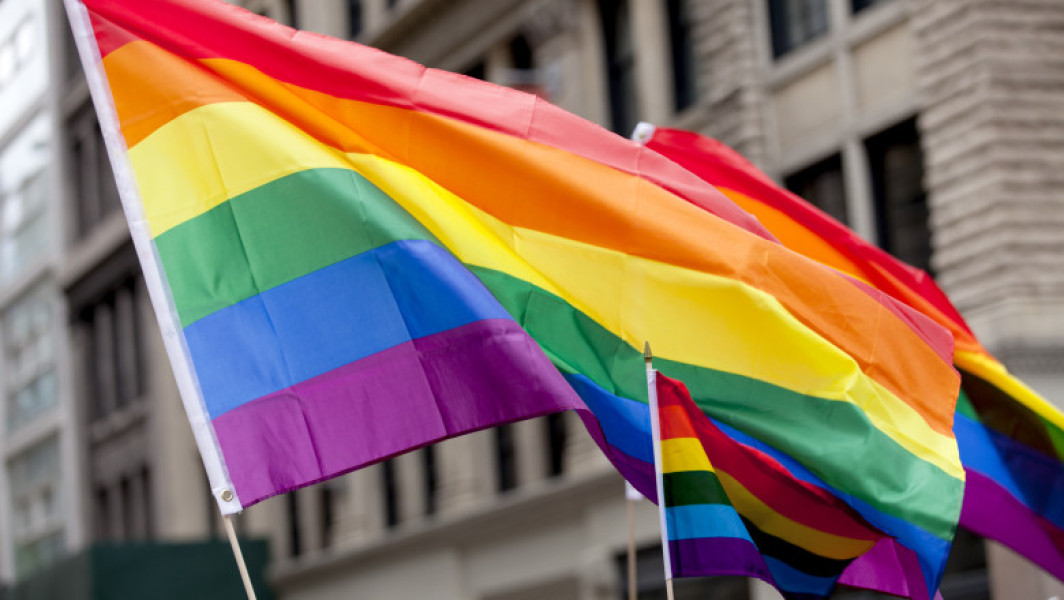 Parlamentul ungar adoptă amendamentul pentru interzicerea paradelor gay