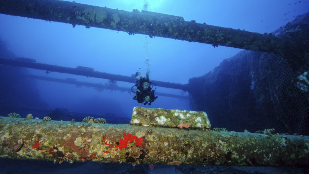 Robotul chinez care poate tăia cabluri submarine îngrijorează comunitatea internațională