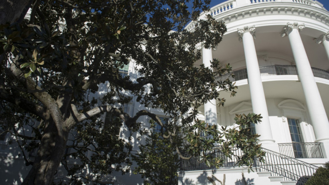 Donald Trump anunță tăierea celebrei "Jackson Magnolia" de la Casa Albă
