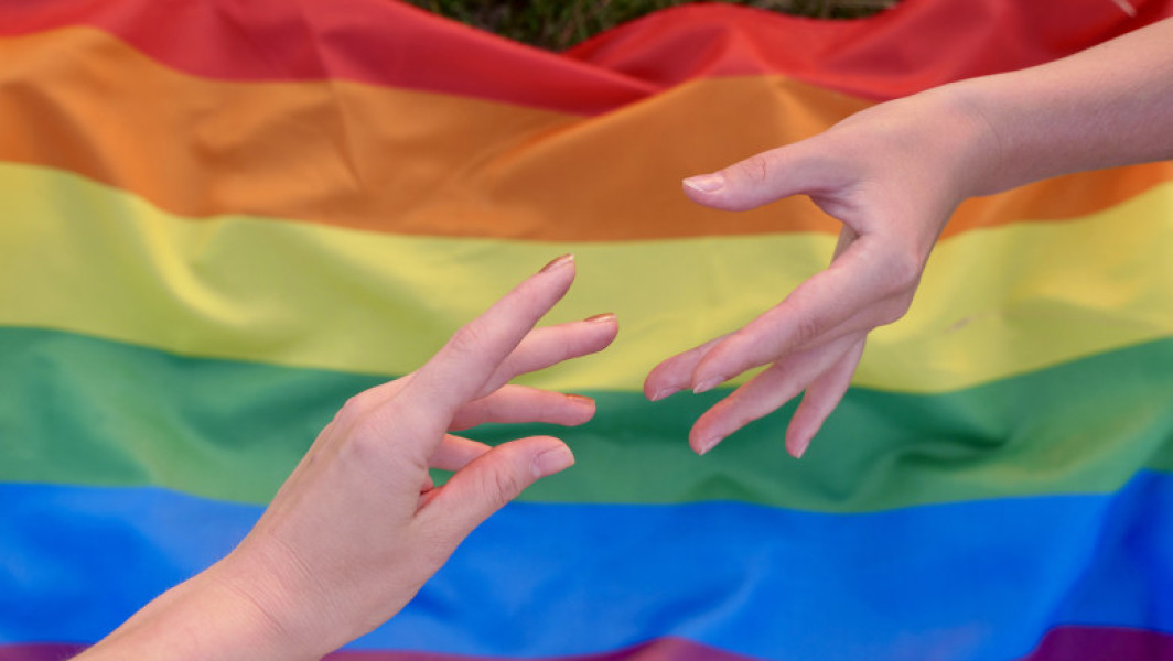 Ministrul danez al industriei cere un răspuns european la presiunea americană asupra diversității