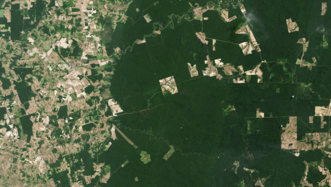 Satelit inovator lansat pentru a evalua pădurile tropicale