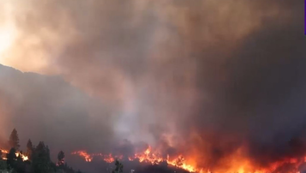 Incendiile de vegetație devastatoare pe insula Chios