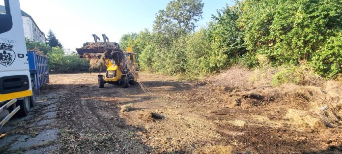 SGU Ploiești intensifică curățenia spațiilor verzi din școlile municipiului