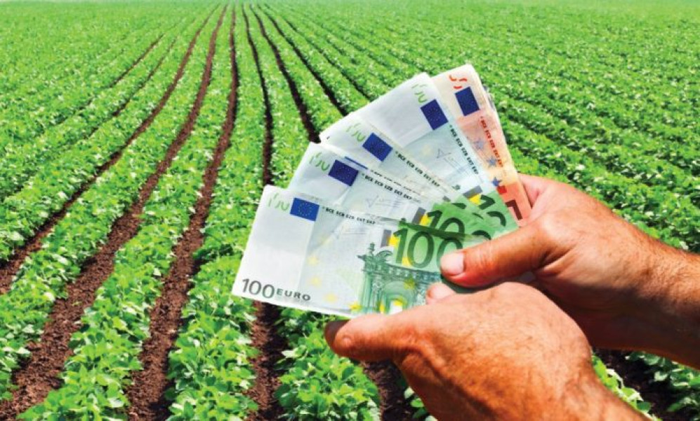 Comisia Europeană aprobă despăgubiri pentru fermierii români afectați de îngheț