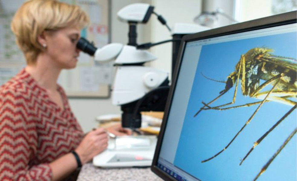 România raportează 30 de cazuri de virus West Nile până în septembrie 2025