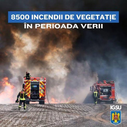 Numărul anumitor cazuri în Prahova a scăzut cu 16% în ultima perioadă
