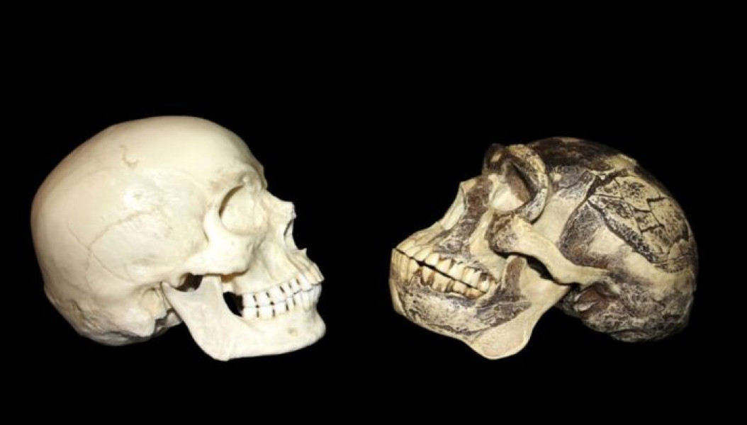 Descoperire arheologică schimbă percepția asupra evoluției umane în China