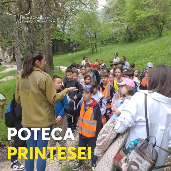 O aventură educativă în inima naturii: parcurgerea traseului „Poteca Prinţesei“ de la Posada