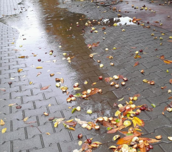 Vremea se răcește în toată țara din cauza unei mase de aer rece