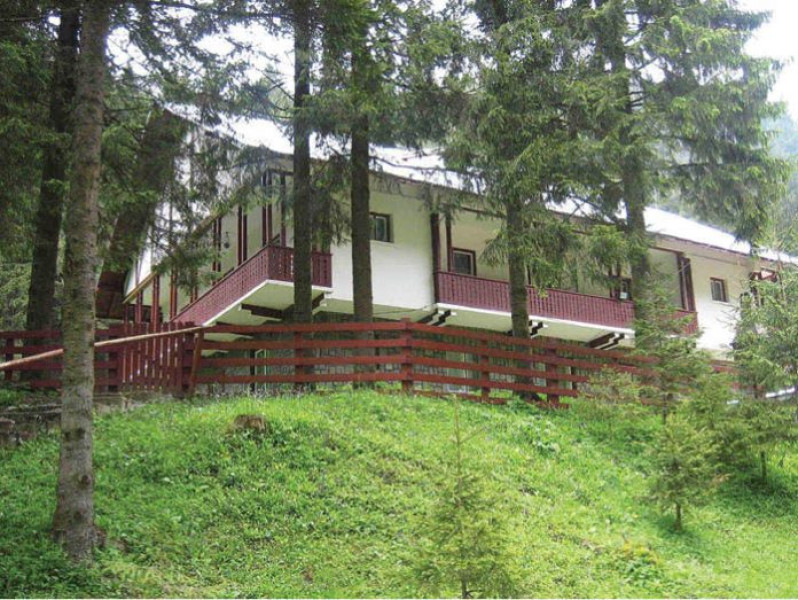 Cabana Ștevia, de pe raza Ocolului Azuga – reper pentru cei care vor să admire priveliştea pădurii