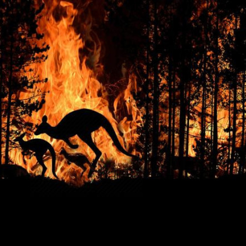 Avertismente de incendii extreme în Australia și Noua Zeelandă din cauza temperaturilor record