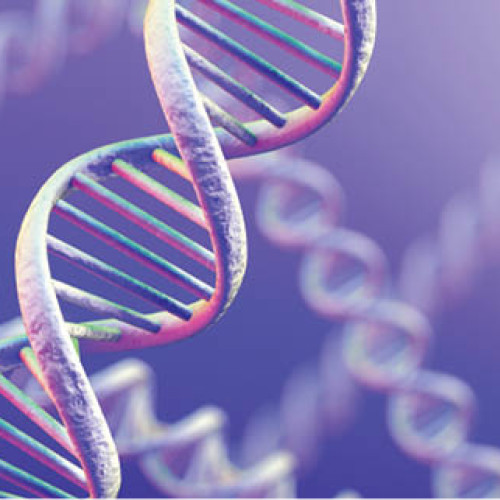 Micro-roboți din ADN care se deschid și închid imită comportamentul florilor