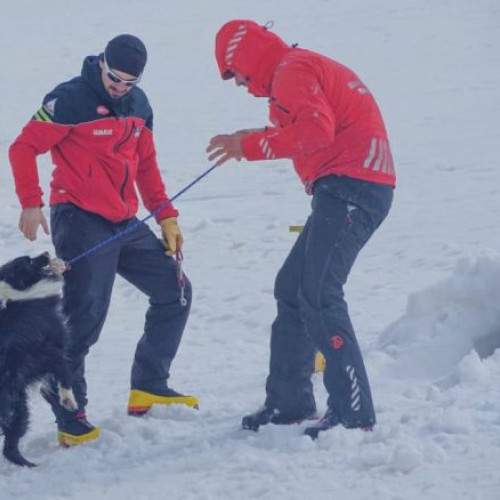 Unitatea canină Salvamont Prahova primește revalidarea pentru intervenții în avalanșe și mediu natural