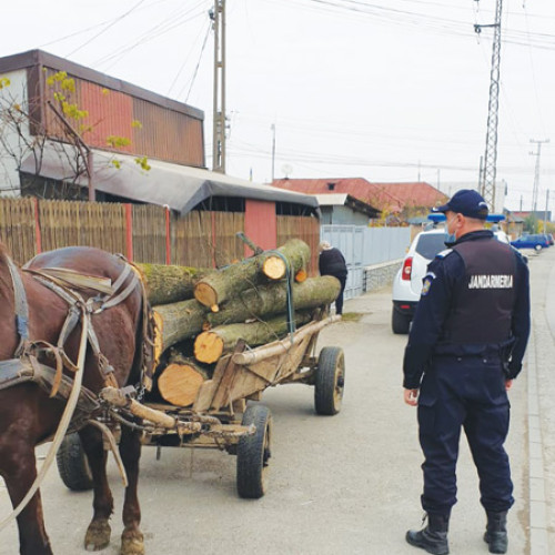 Controale pentru prevenirea furtului de material lemnos efectuate de Personalulul Direcției Silvice Prahova