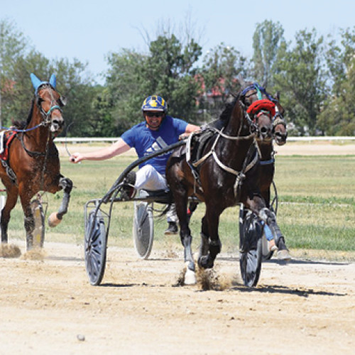 Spectacol la Hipodromul Ploieşti - 7 curse de trap și galop, premiile "4 ani "Sfinţii Constantin și Elena" și "Alexandru Marghiloman 2024" - cu sprijinul sponsorului Darius Motors și al Jockey Club Român